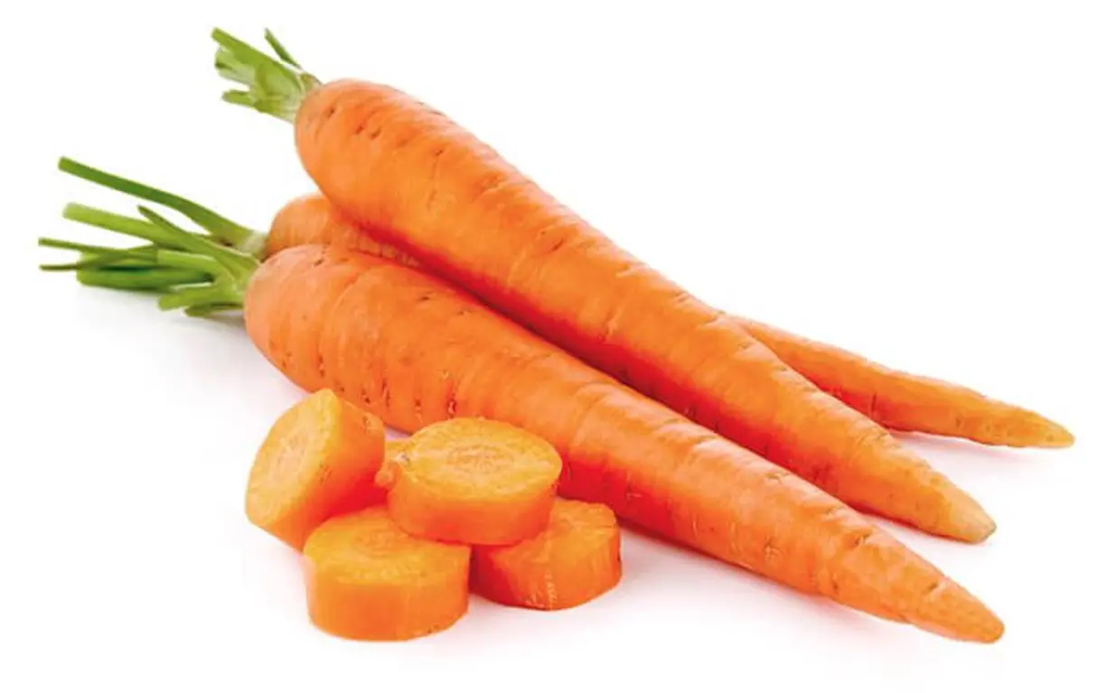 Munozval zanahorias.webp